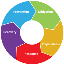COMPONENT 5: CONTINGENT EMERGENCY RESPONSE